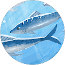 Ashmi profile picture